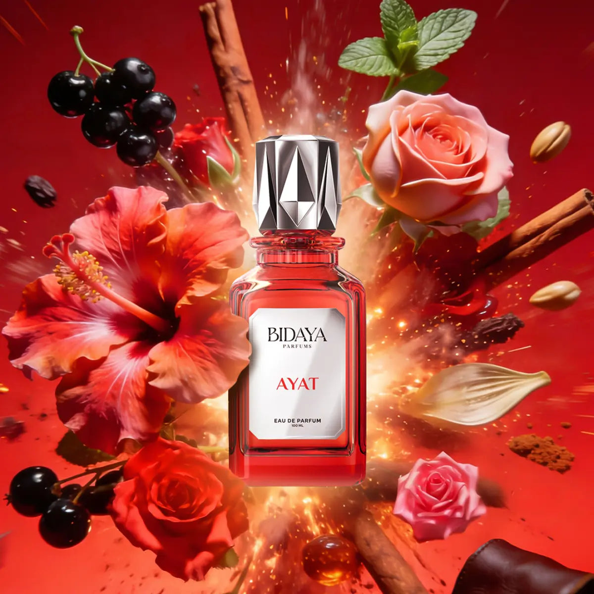 Ayat Bidaya 100ml