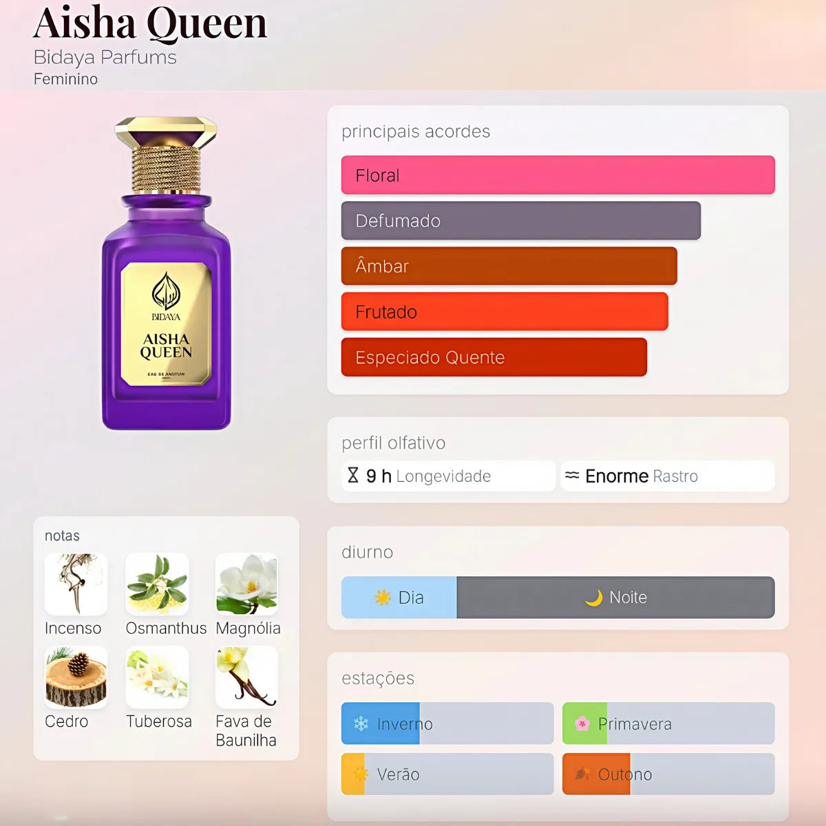 Aisha Queen Bidaya 100ml